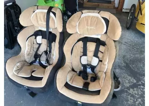 First Years Convertible Carseat